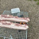 싱싱정육 백화점