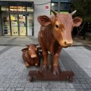 영주축협 한우프라자 청계산역점 이미지