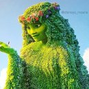 모아나(moana) 이미지