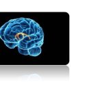 사교댄스 이미지