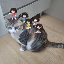 샤르망 티스토리