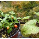 놀이터에서 만나 이미지