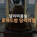 로이드밤 당리역점