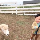 상우목장 이미지