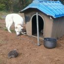 하늘내린강산 이미지