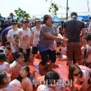 달성토마토축제 투어코리아