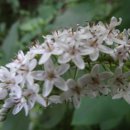 호평초등학교 이미지