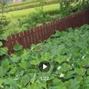이편한희망부동산중개 네이버블로그