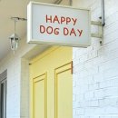 해피 도그 데이 이미지