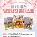 2025 캠핑으로 그린아일랜드 이미지