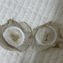 허밍독 | 허밍테라피 라이트 밸런스 패치 내돈내산 솔직 후기 (feat. 과연 광고만큼..?)