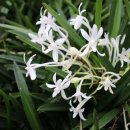 개량농장 이미지