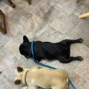 대호상회 이미지