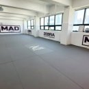 팀매드 키즈 주짓수 이미지