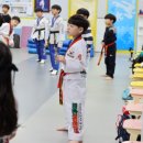 경희대튼튼태권도 이미지