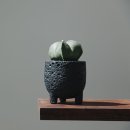 달나라인테리어
