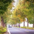 죽동마을 이미지