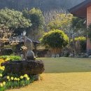 달빛여행 | 담양 민간 정원 달빛여행정원 다녀온 힐링 후기