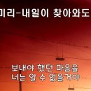 훼미리 Daum카페