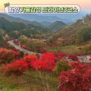 지안재2 | “지리산 단풍 드라이브 최단 코스&#34; 지안재, 오도재, 조망공원