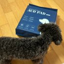 오드(AUD) 이미지