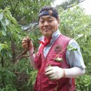 비암농장 이미지