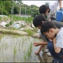 기준농장 이미지