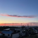 너와 바람개비 이미지