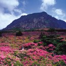 넘버원 노래연습장 이미지