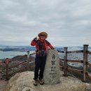 경상도우회기념회장 암각 | 목포 유달산 삼등바위~이등바위~일등바위~마당바위~노적봉~인어상둘레길(다순구미둘레길)~유달산둘레길...