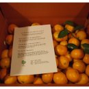 해원농장 이미지