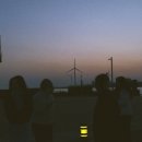 우리들의월정리