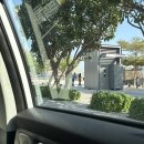 권선3지구현대 (아) | 두바이 자유여행 day1: 알시프 거리, 알파히디 역사지구, 워너 브라더스 월드 아부다비