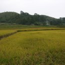 선흥(궁촌2리) 이미지