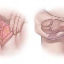 월인한의원 이미지