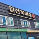 월산복어 이미지