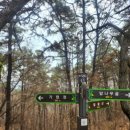 가현산낚시터 | 아이와 가현산 등산 후기 (주차 꿀팁 + 진달래 실시간 개화)