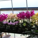 우리화원 이미지