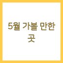 완도전통시장(구 완도5일시장) | 5월 국내여행지 추천 TOP7 리스트