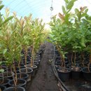 기현2농장 이미지