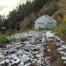 박용수농장 이미지