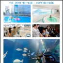 뉴프린스당구클럽 | 도쿄 시나가와 프린스호텔 피서를 즐기는 올 FUN! 클루시브 | 수영장과 미식 포함 여름 패키지 (2026...