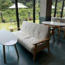 지니카페(JINNYH CAFE) | 용암동카페 추천, 자연 속에서 여유를 즐길 수 있는 카페 아리아 방문 후기