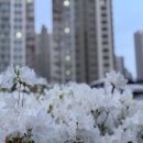 갈매천변 이미지