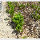 합천호둘레길 이미지