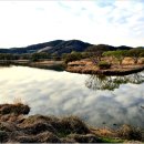 이방초등학교 이미지