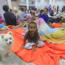 동물의 왕국 이미지