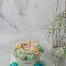 롤리 앤 폴리 이미지