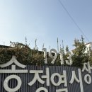 세븐일레븐 광주송정중앙점 | 광주송정역 맛집 카페 명절 선물 추천 쑥스초코파이 방문 후기