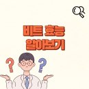 비트 효능✅